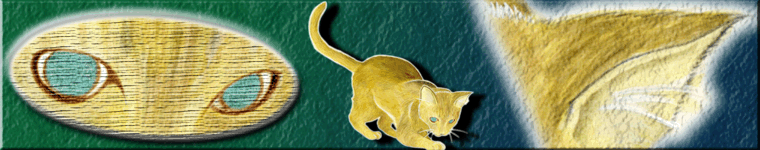 ジルバさんのホーム