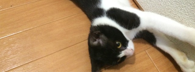 Nしゅーさんのホーム