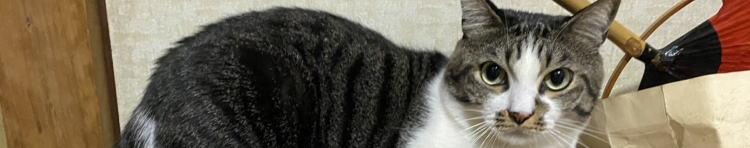 さぬきちさんのホーム