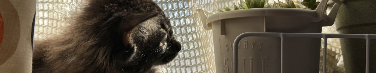 ohitashiさんのホーム