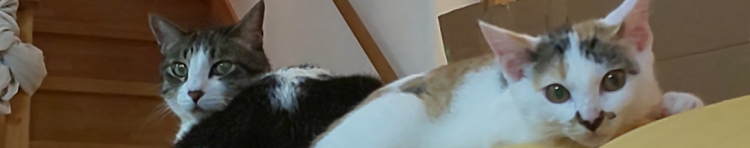 ななぱんママさんのホーム