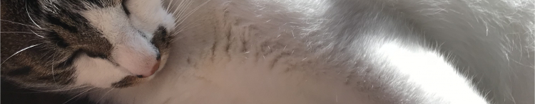 りんご1126さんのホーム