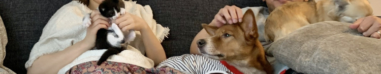 ジョンス・リーさんのホーム