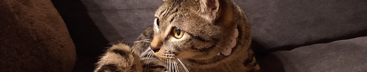 ゆぴたろうさんのホーム