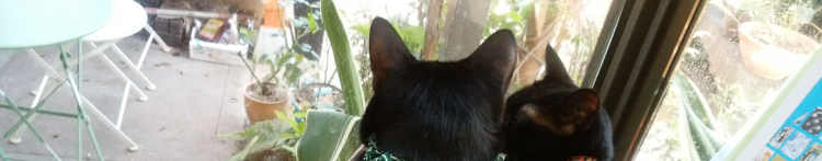 asapyonさんのホーム