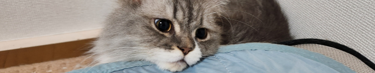 富士ヒロさんのホーム