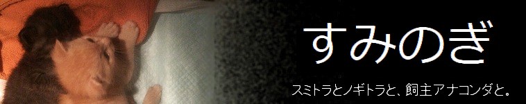 アナコンダさんのホーム