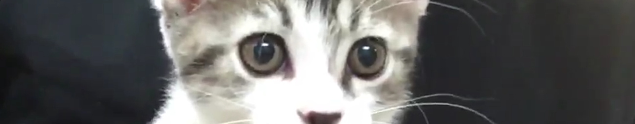 る兄さんのホーム