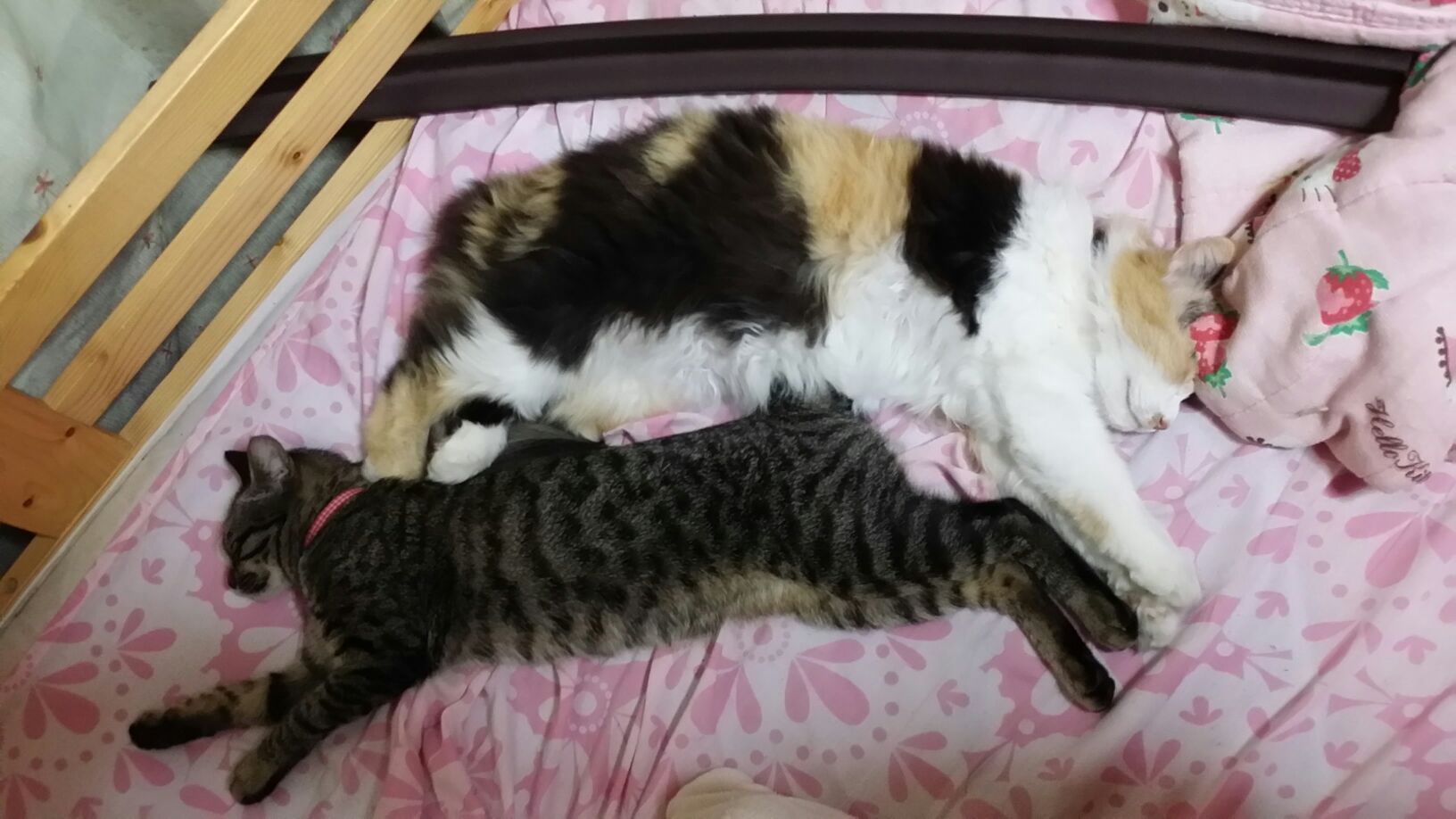 saku01さんのホーム