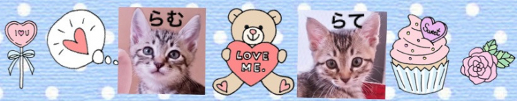 さーきーさんのホーム