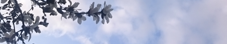 マミーカナさんのホーム