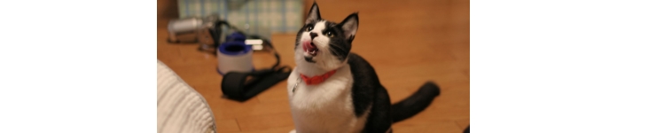 ゆみさんのホーム