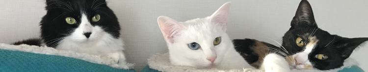 namewave45さんのホーム