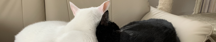 ずずの家さんのホーム