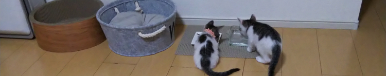moko*さんのホーム