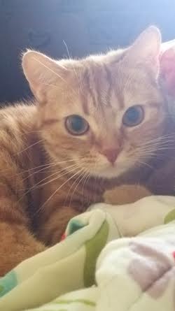 toshikazuさんのホーム