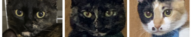 ヒロロックさんのホーム