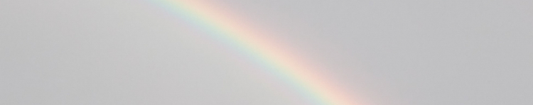 ねこまろん王国さんのホーム