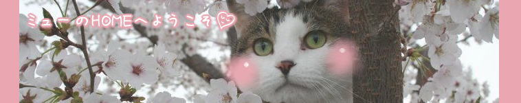 ミューさんのホーム