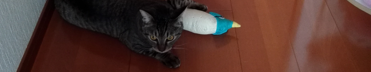 と桃さんのホーム