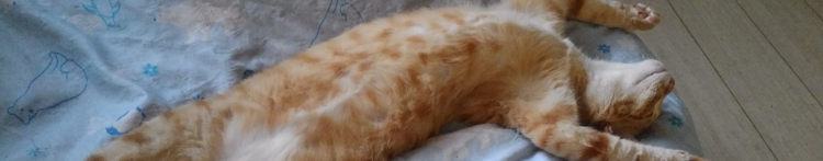 白あんさんのホーム