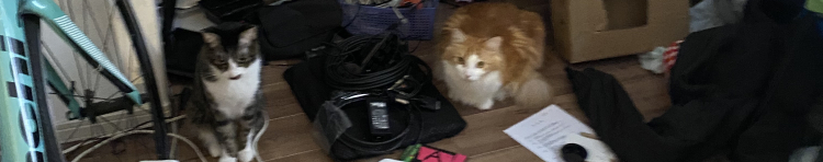 りおまーるさんのホーム