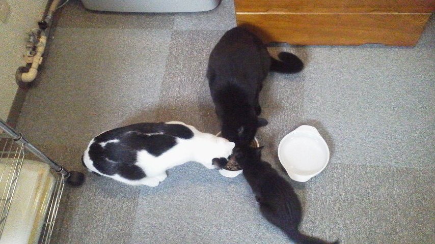 まなたにさんのホーム