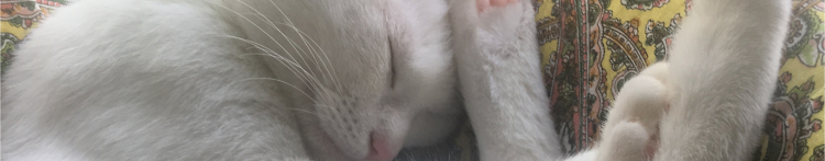 ごまりかさんのホーム