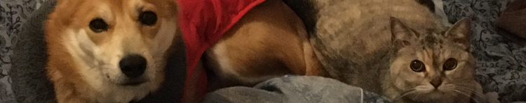 Lucky Blackyさんのホーム