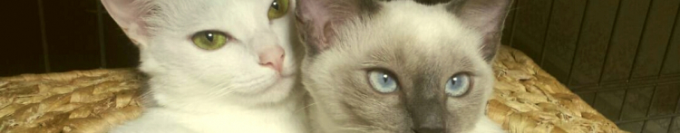 りょこ。さんのホーム