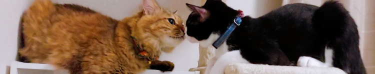 もぐたろうさんのホーム