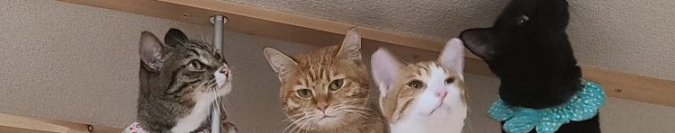 プクコデラックスさんのホーム