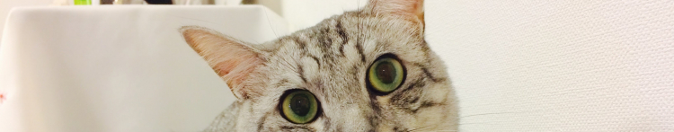 AK.Iさんのホーム