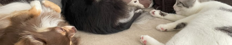 チャクロギンさんのホーム