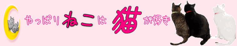 ねこにゃんさんのホーム