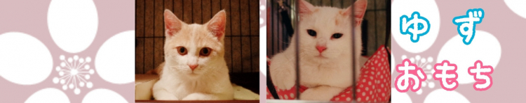 mercyさんのホーム