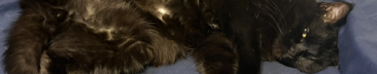 hinakkさんのホーム