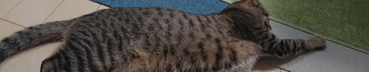 yamaもんさんのホーム