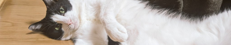 のん0807さんのホーム