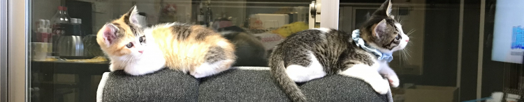 亜希斗さんのホーム