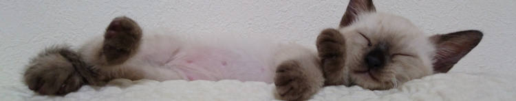 もり1111さんのホーム