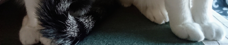 とげ丸さんのホーム