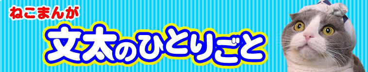 ママ美さんのホーム