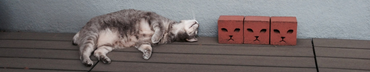 ズズちゃんさんのホーム