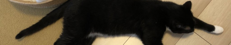 HaraDさんのホーム