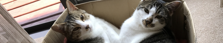 シマシマさんのホーム