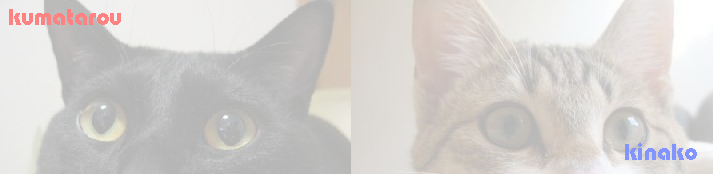 くまママさんのホーム