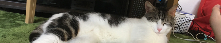 ペペ25さんのホーム