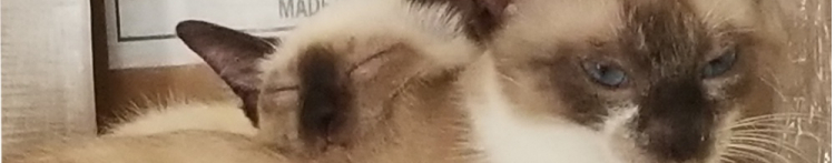 Gerdaさんのホーム