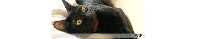 狛さんのホーム